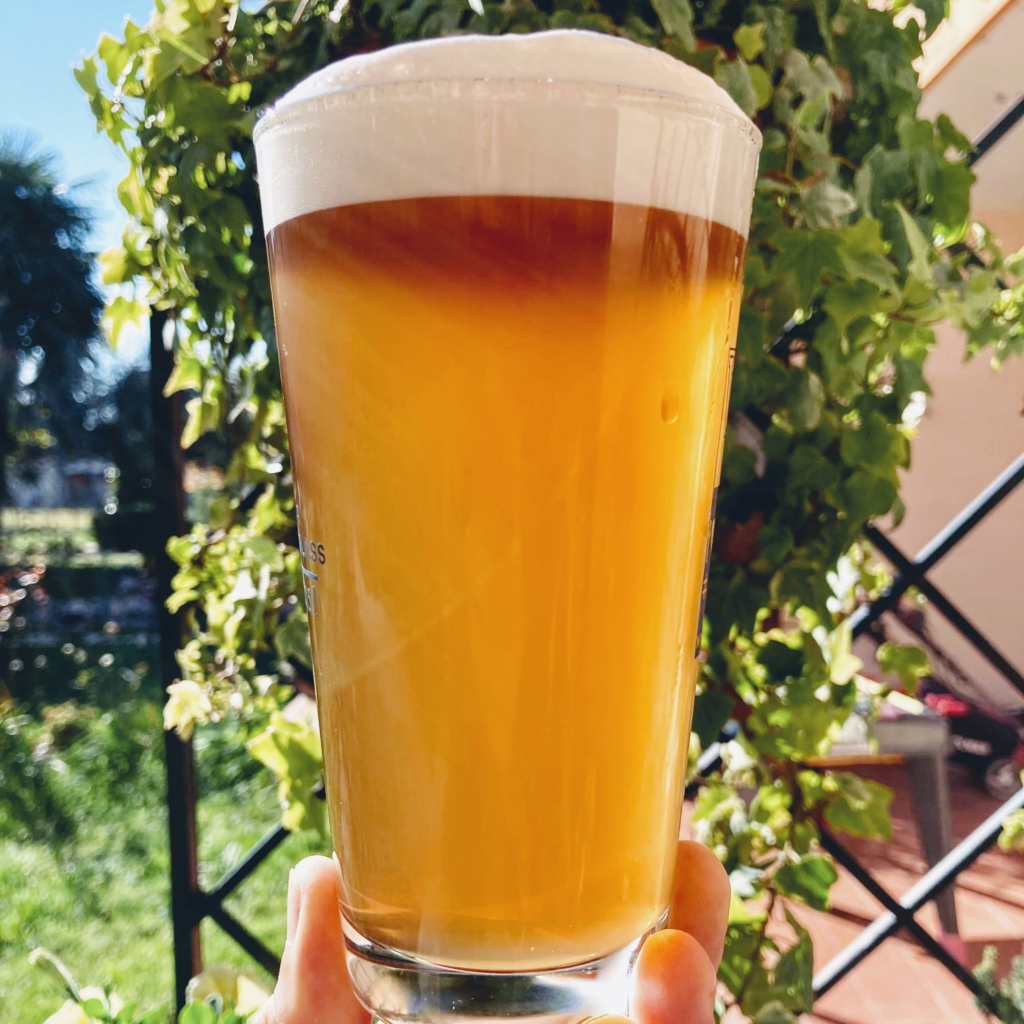 TAI - ITALIAN GRAPE ALE