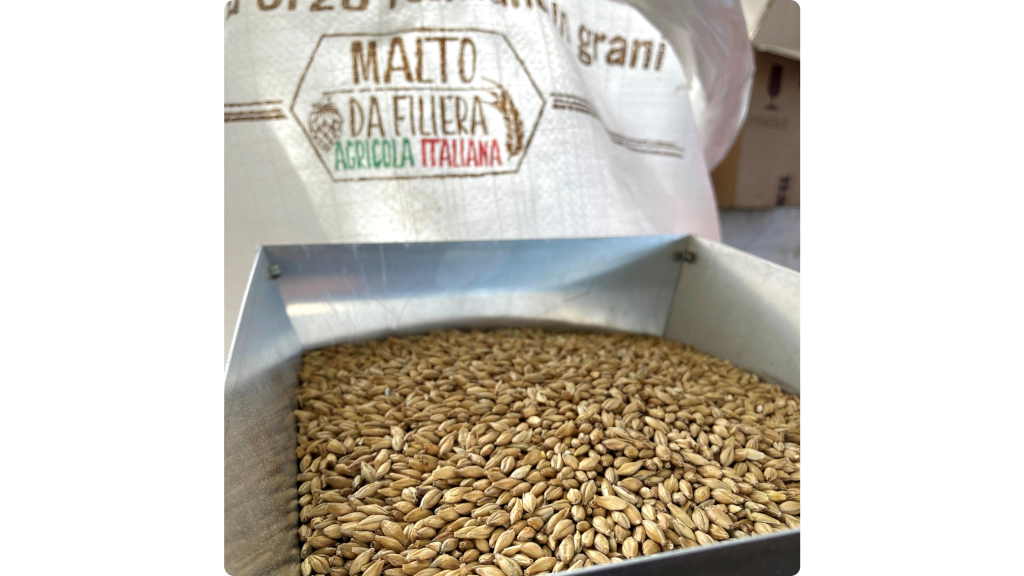 MALTI
