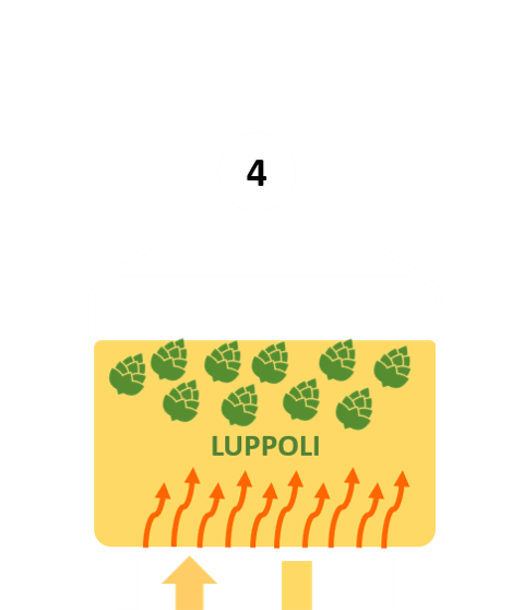 4 | BOLLITURA