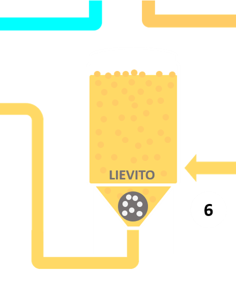 6 | FERMENTAZIONE